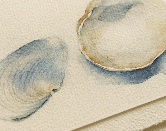 Two watercolor shells on textured beige paper