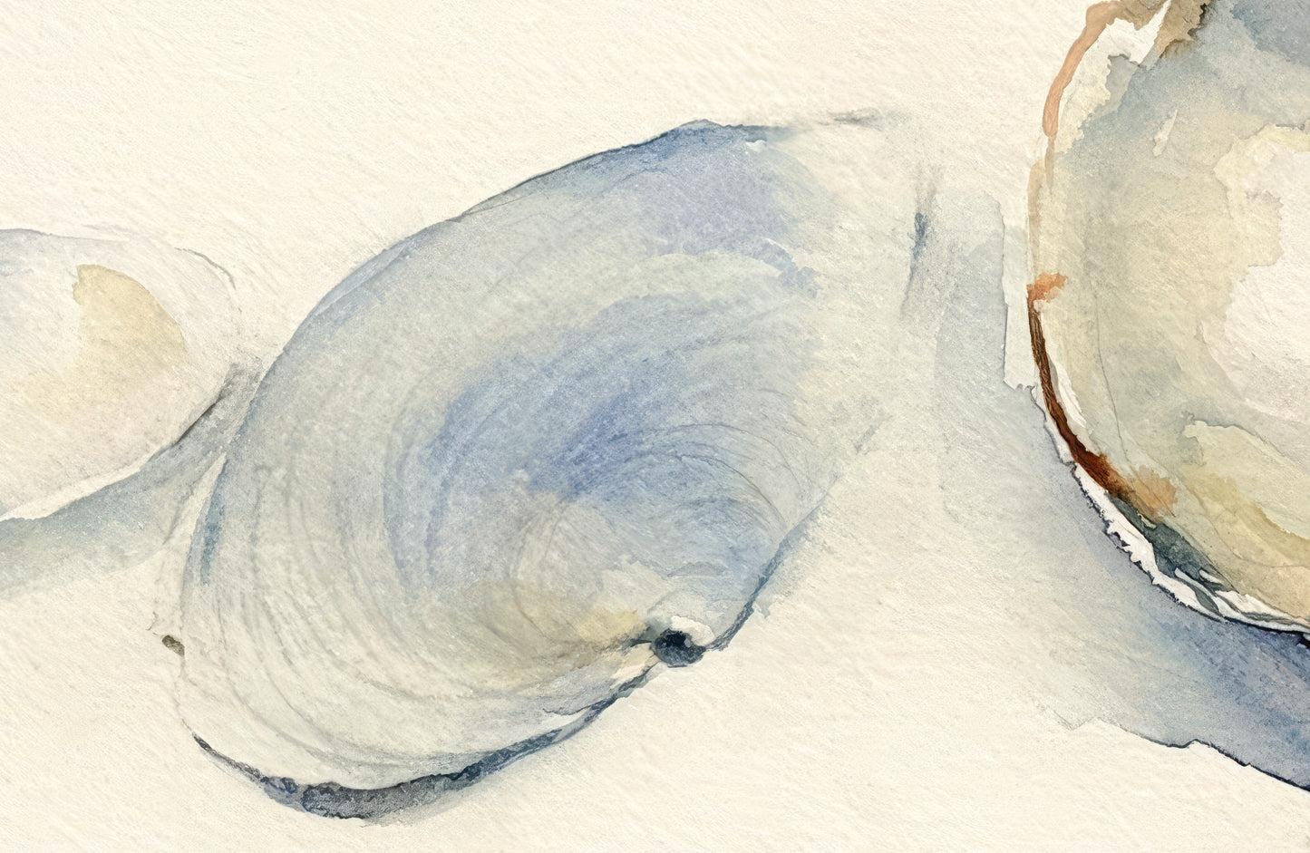 Five Shells