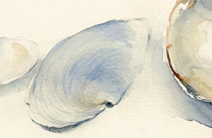Five Shells